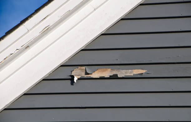 Waverly, IL Siding Services Company